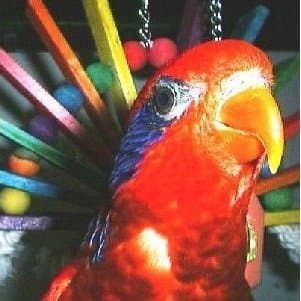 Andrew Bialecki & Ed Hallen